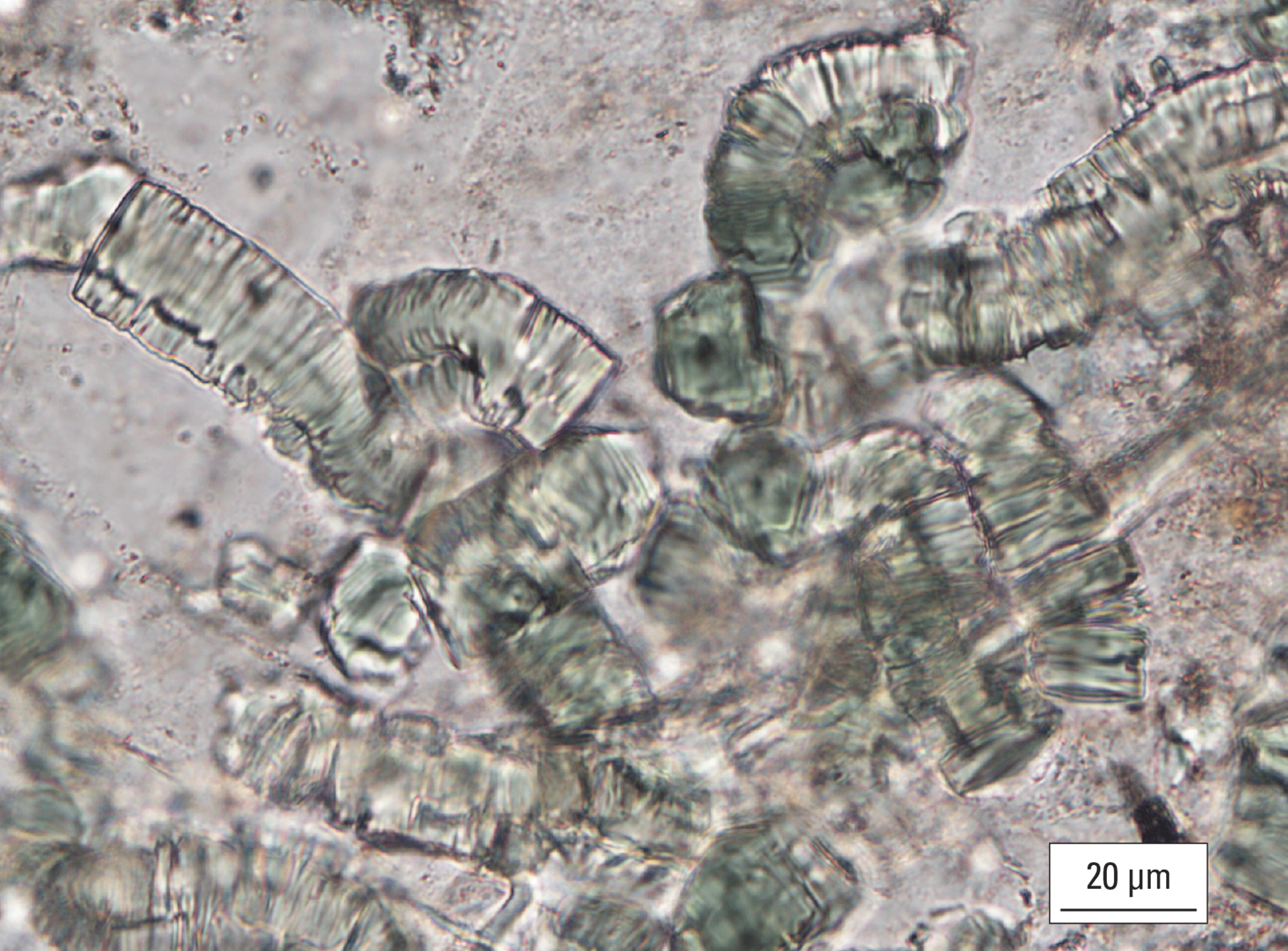 The magnified textures of minerals are shown.