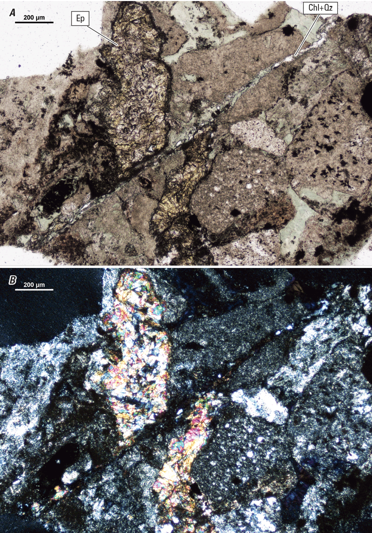 Magnified textures and structures of various minerals are shown in two kinds of light.
Representative minerals are labeled.