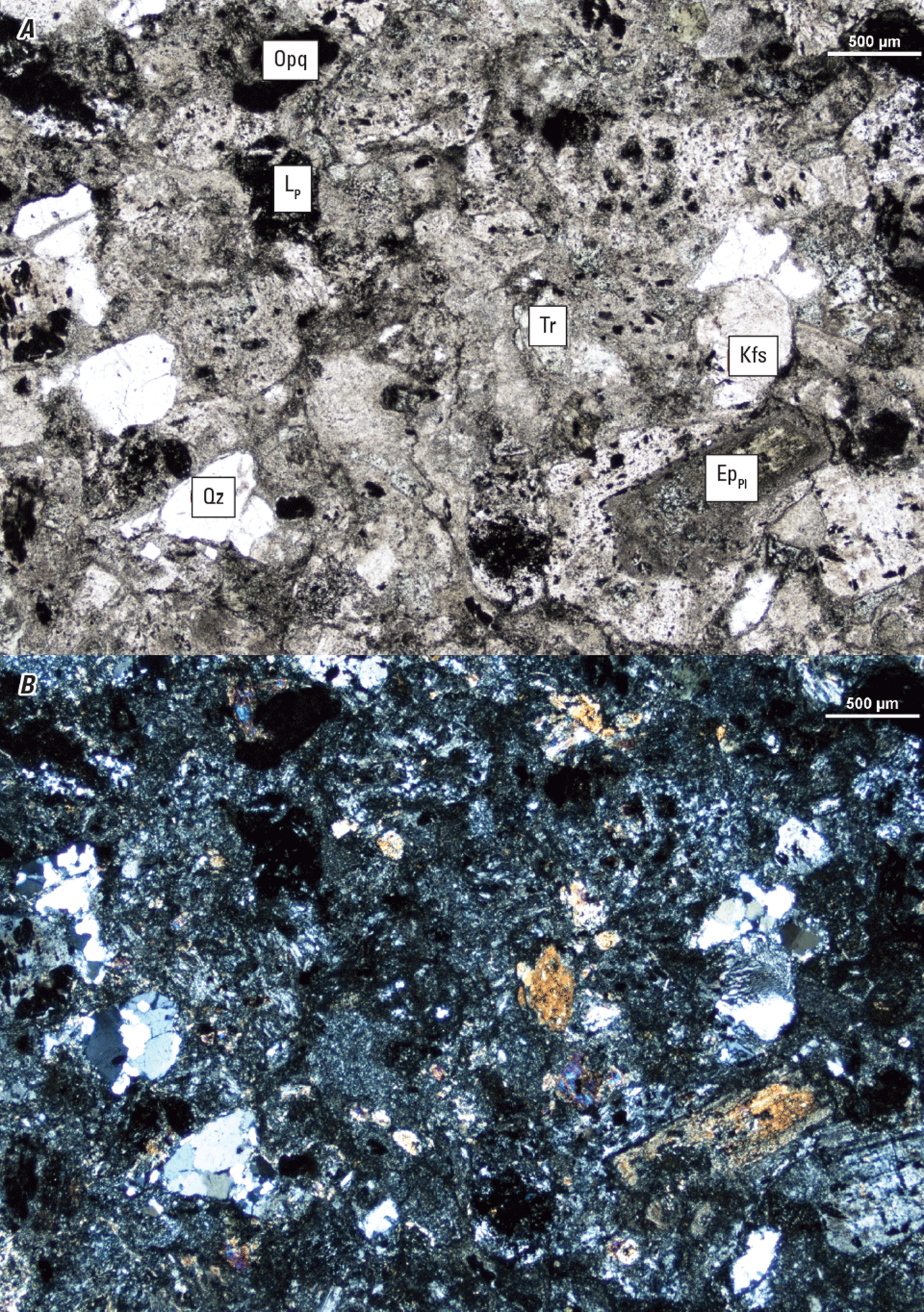 Magnified textures and structures of various minerals are shown in two kinds of light.
Some minerals and clasts are labeled.