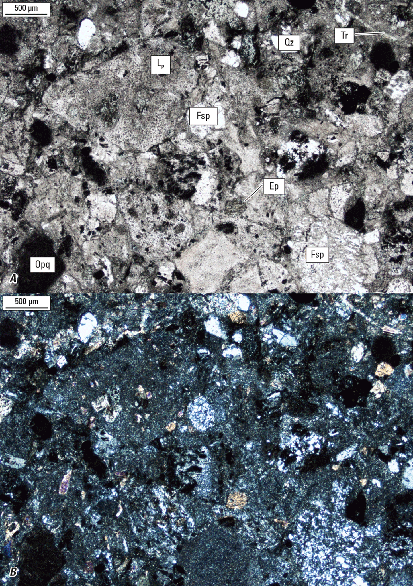 Magnified textures and structures of various minerals are shown in two kinds of light.
Some minerals and clasts are labeled.