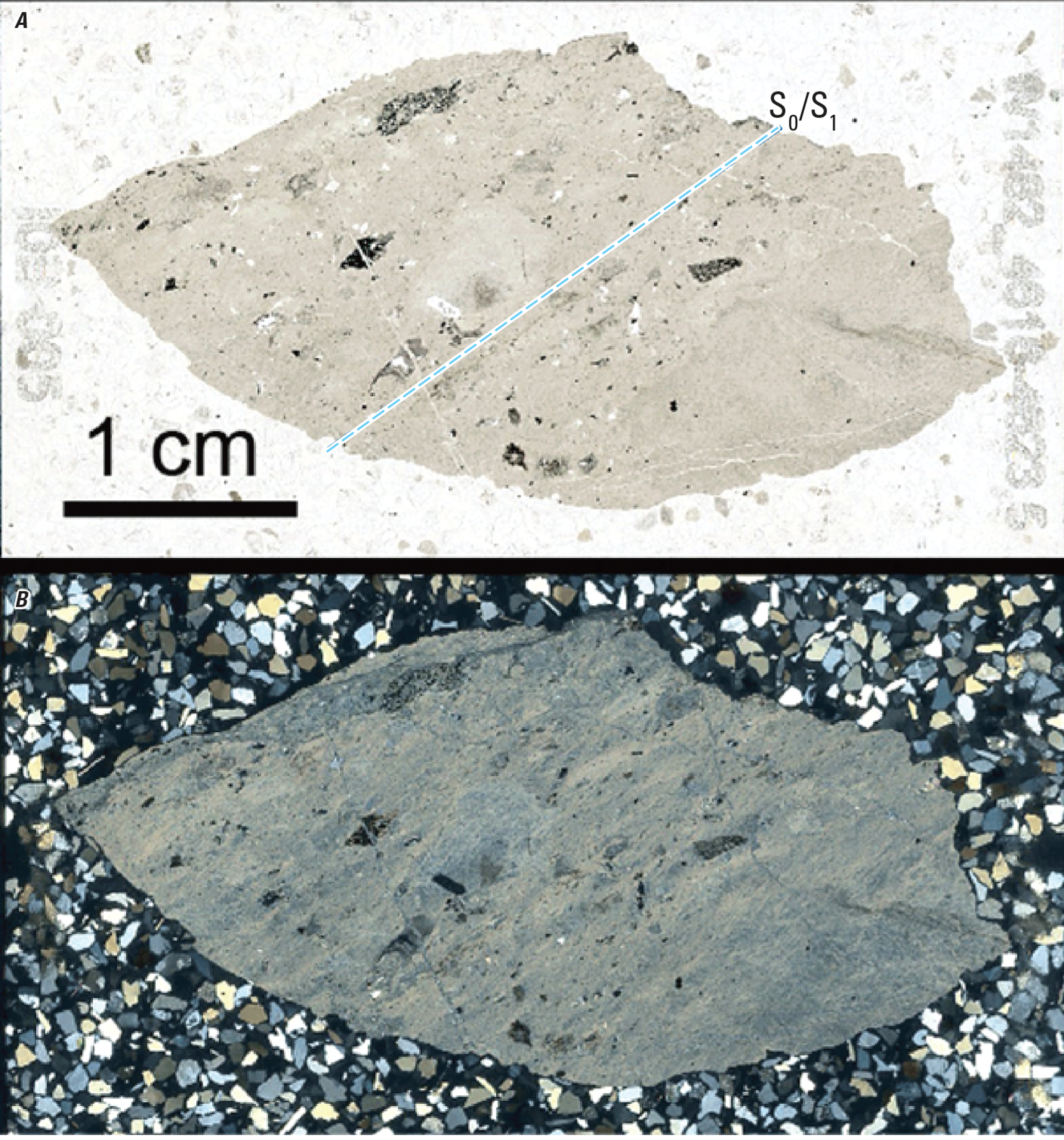 The magnified image of a core chip is shown in two kinds of light. An inferred structure
is demarcated with a line.
