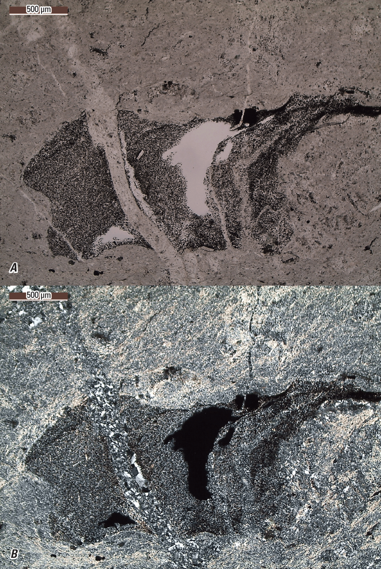 The magnified textures and structures of various minerals are shown in two kinds of
light.