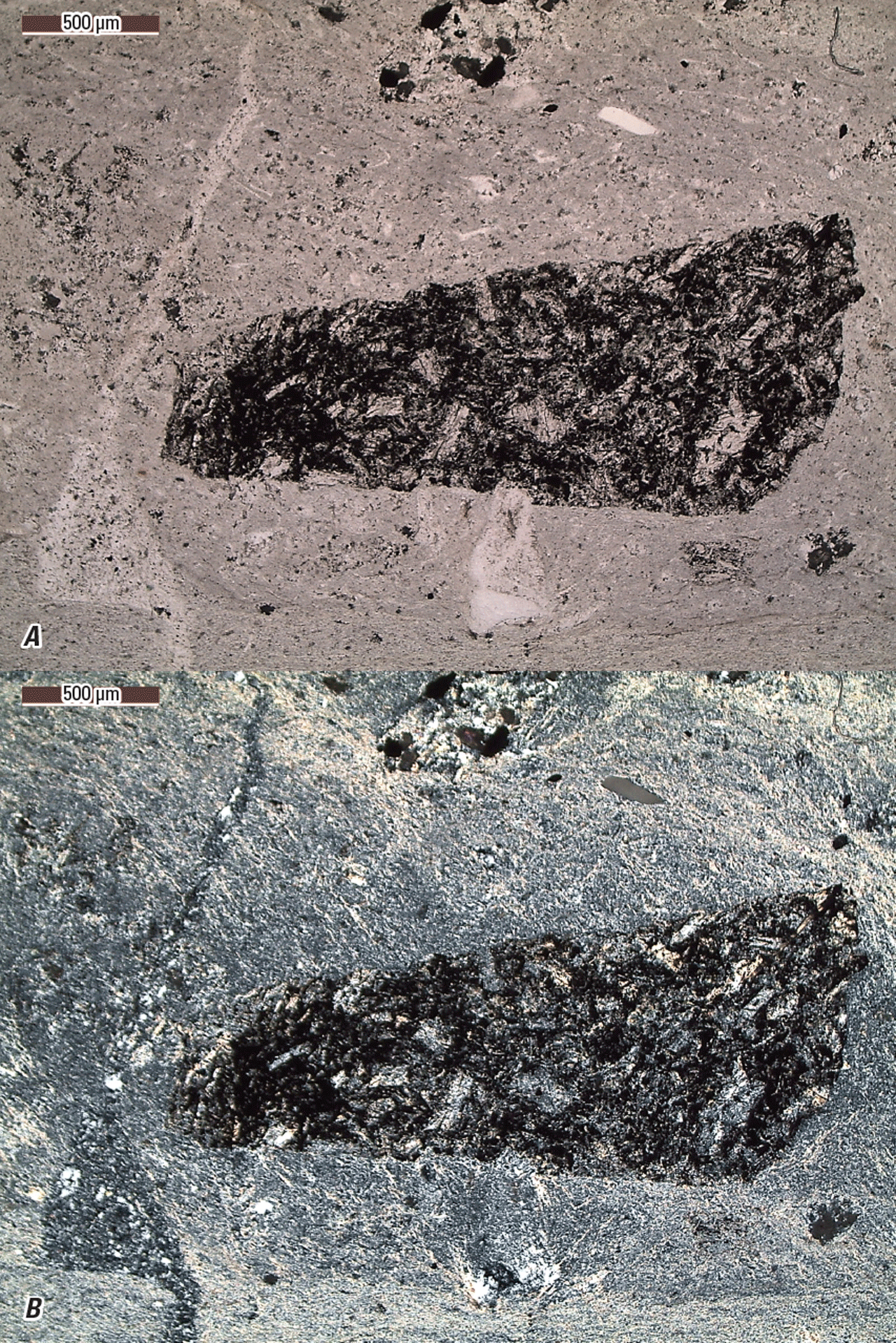 The magnified textures and structures of various minerals are shown in two kinds of
light.