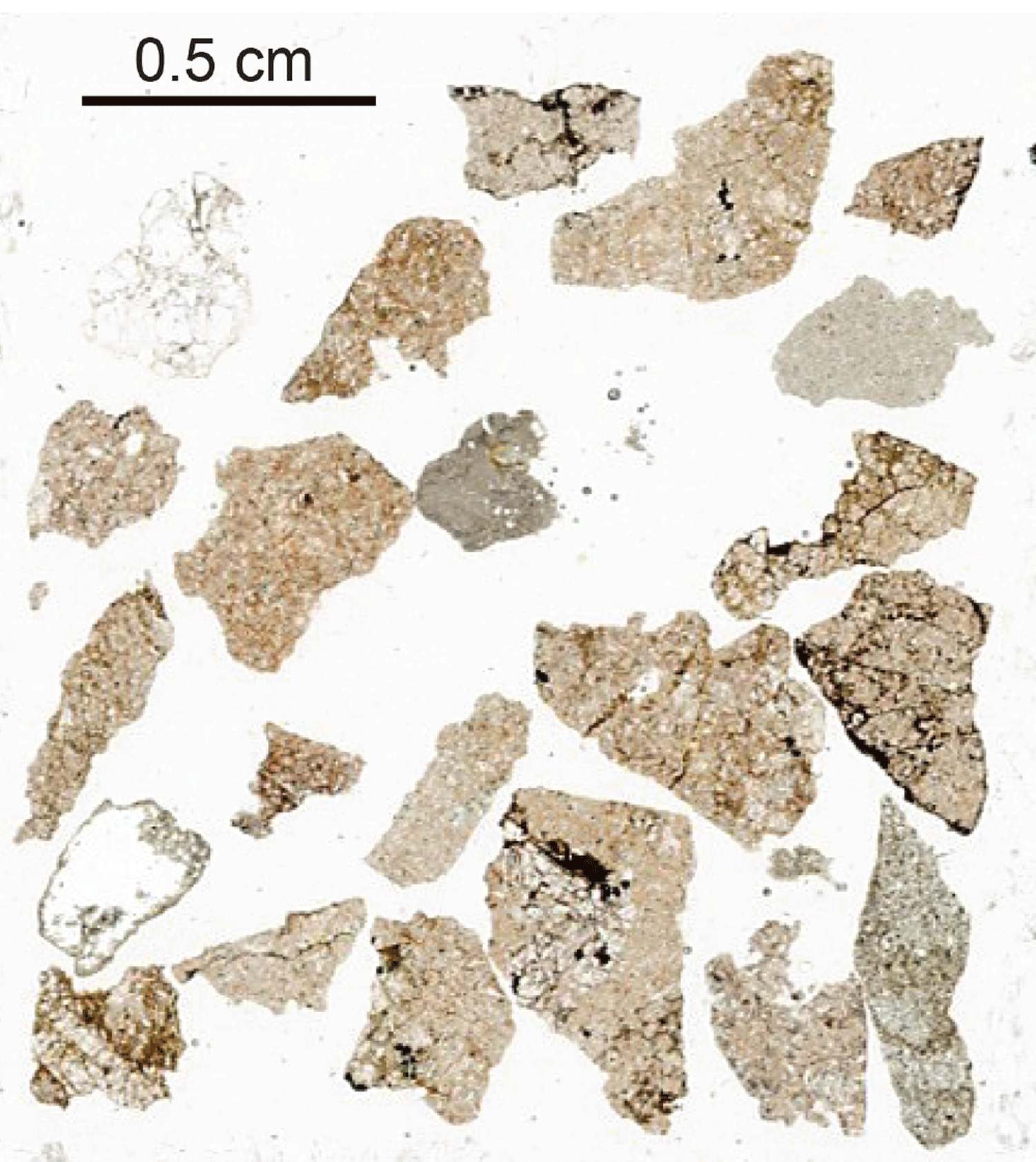 A magnified image of various cuttings.