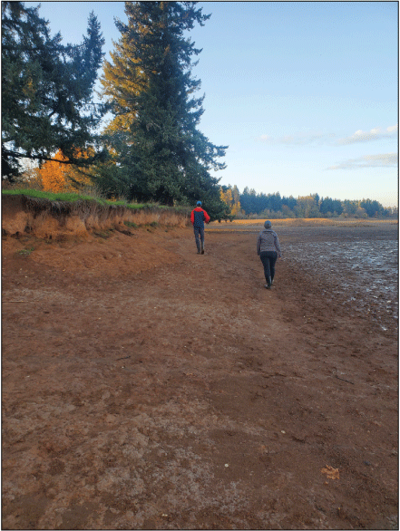 Example of hillslope landform with relatively steep, near vertical eroding shoreline
towards the left of the photograph adjacent to modestly steep hillslope (where people
are walking) which is adjacent to lower gradient reservoir floor (saturated sediment
towards the right of the photograph) within Fern Ridge Lake, Oregon. Photograph taken
by Mackenzie Keith, U.S. Geological Survey, November 7, 2023.