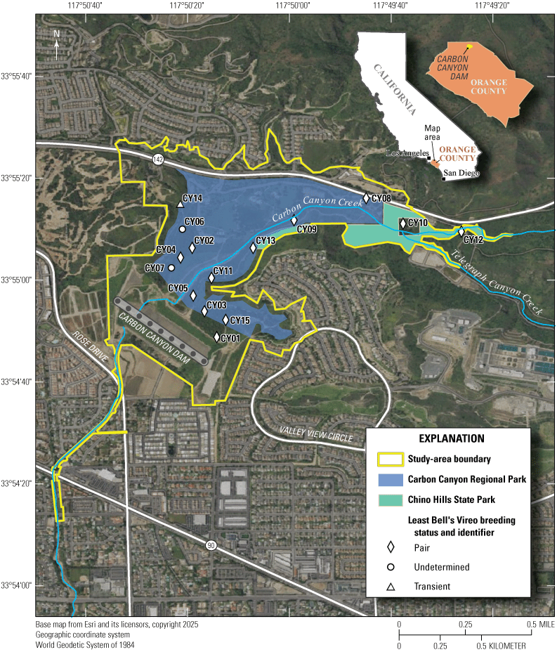 2. Least Bell’s Vireo detections and breeding status are shown on a map. Dashed lines
represent creeks within the study area, shaded polygons describe property management
entities, and white symbols represent territories containing vireo pairs (diamonds),
vireos with undetermined breeding status (circles), and transient vireos (triangles).
