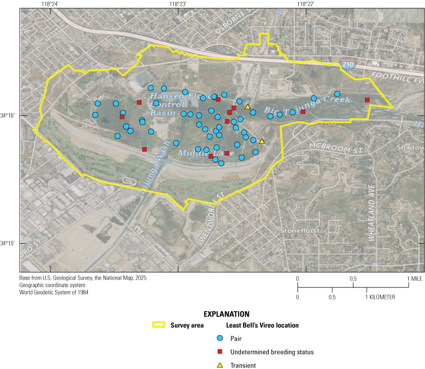 2. Aerial photo with survey area outlined, dots for vireo pairs, squares for unknown
status vireos, and triangles for transient vireos.