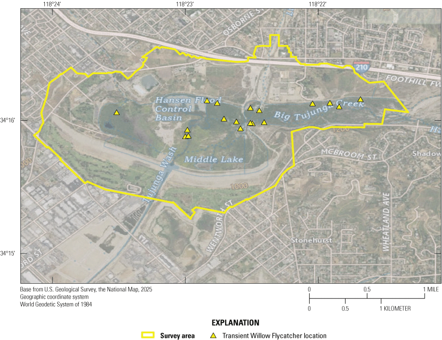 3. Aerial photo with survey area outlined and a triangle for each transient flycatcher.