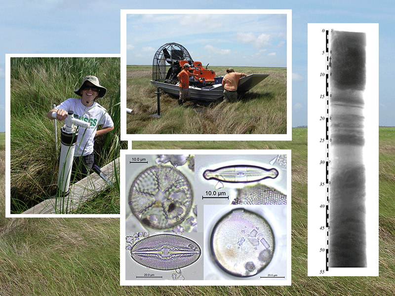 Multiple images: Core collection device, Field sampling air boat, X-radiograph image of a sediment core, Images of four species of diatoms extracted from sediment samples