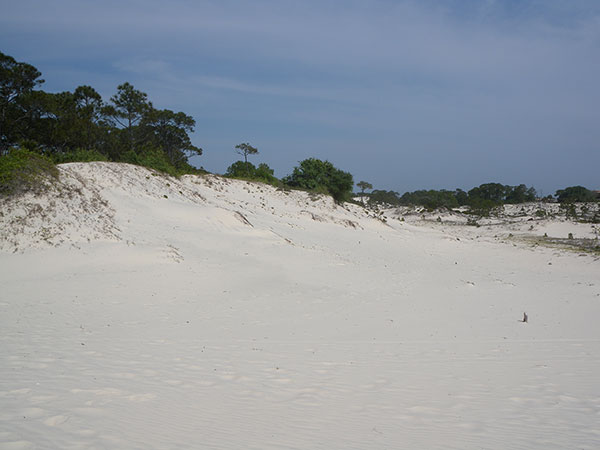 Photograph of sandy dunes encountered during field activity 13BIM01 GPR data acquisition.