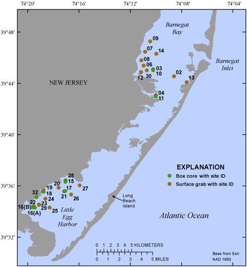 Sediment sampling locations in Barnegat Bay and Little Egg Harbor from May 1214. 2014.