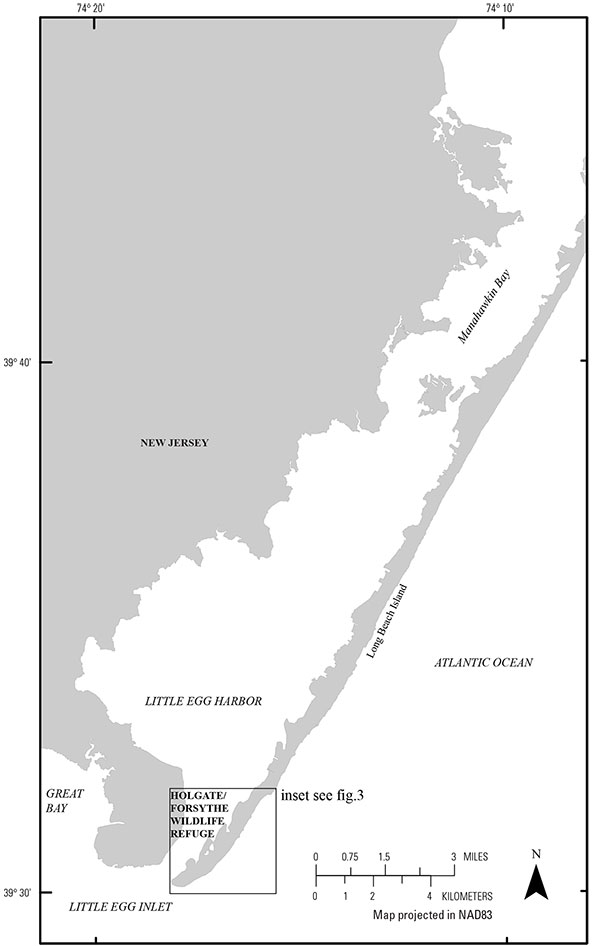 Map of study area with inset black box indicating the location of the study area and the Edwin B. Forsythe National Wildlife Refuge–Holgate Unit. 