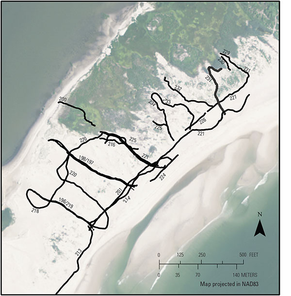 Map of ground-penetrating radar profiles collected from the northern portion of the Edwin B. Forsythe National Wildlife Refuge–Holgate Unit.