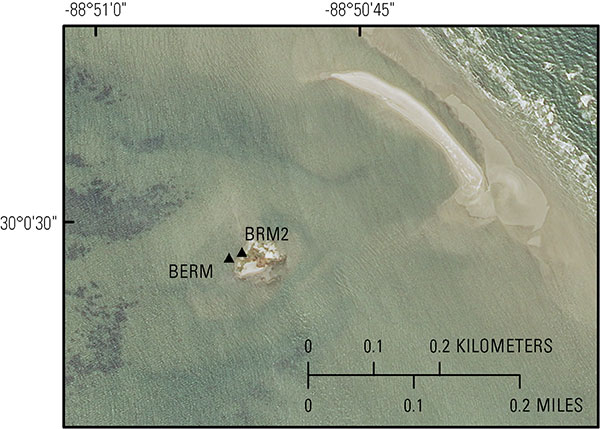 Aerial photograph of benchmark locations BERM (2012, black triangle) and BRM2 (2013, black triangle) at the northern end of the Chandeleur Islands.