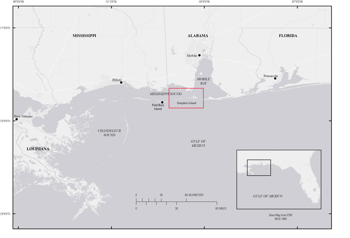 Regional map showing the location of Dauphin Island on Alabama's gulf coast. Study area is indicated by red box.