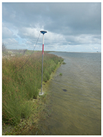 Photograph of surface sample site DA201S on the southern side of Dauphin Island, Alabama.