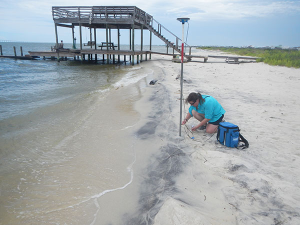 Photograph of surface sediment sample DA232S being collected on Dauphin Island, Alabama. 