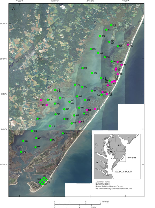 Site location maps of Spring marsh surface and estuarine grab samples