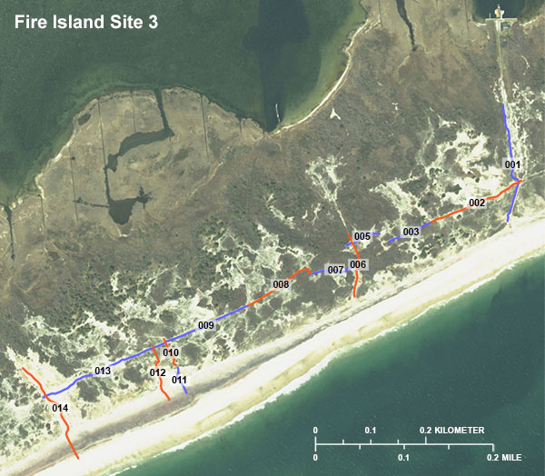 Figure 8. Aerial photograph of survey site 3, with web hotspots, each linked to an image of the GPR profile collected in that location