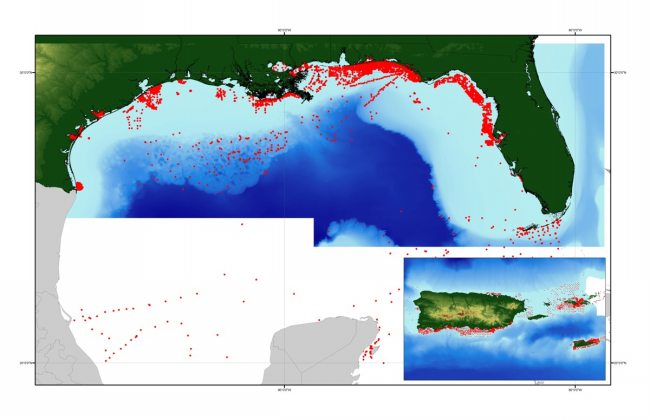 Map showing components data for the U.S. Gulf of Mexico coast