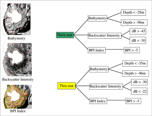 Figure 7. Moss Distribution Model for Crater Lake, Oregon