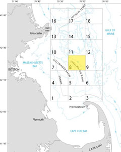 A map showing the location of Quadrangle 8 in the Stellwagen Bank National Marine Sanctuary