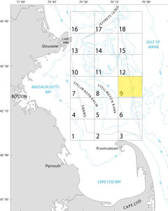 A map showing the location of Quadrangle 9 in the Stellwagen Bank National Marine Sanctuary