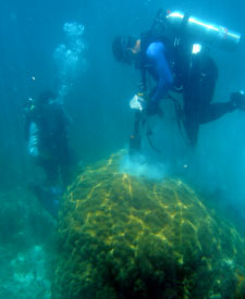 SCUBA divers taking a coral head core