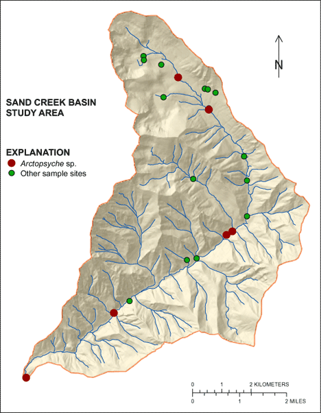 Figure showing the distribution of Arctopsyche sp. in the Sand Creek Basin