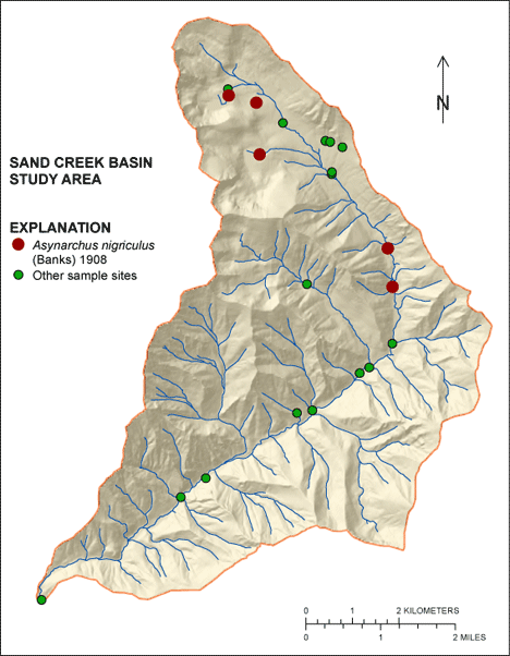 Figure showing the distribution of Asynarchus nigriculus in the Sand Creek Basin