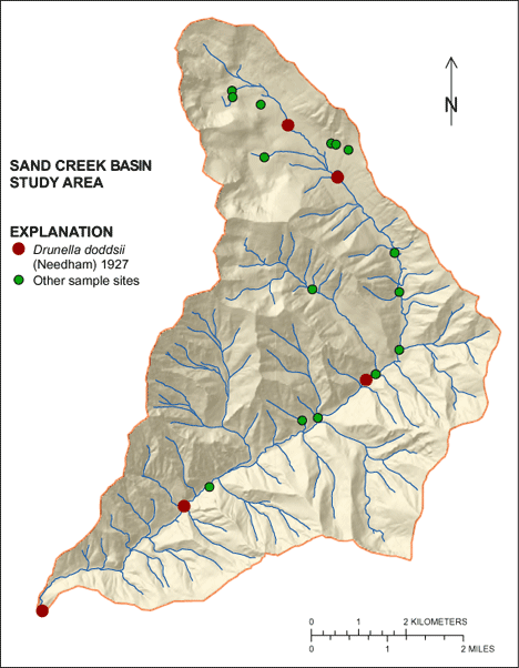 Figure showing the distribution of Drunella doddsii in the Sand Creek Basin