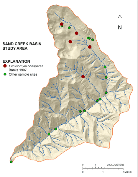 Figure showing the distribution of Ecclisomyia conspersa in the Sand Creek Basin
