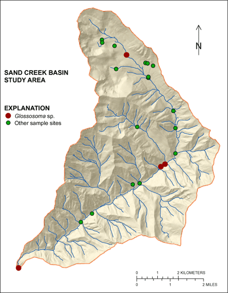 Figure showing the distribution of Glossosoma sp. in the Sand Creek Basin