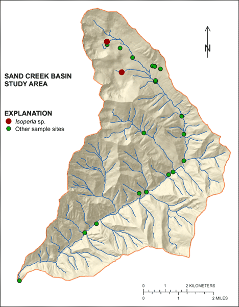 Figure showing the distribution of Isoperla sp. in the Sand Creek Basin
