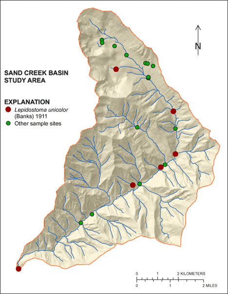 Figure showing the distribution of Lepidostoma unicolor in the Sand Creek Basin