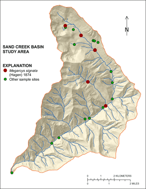 Figure showing the distribution of Megarcys signata in the Sand Creek Basin