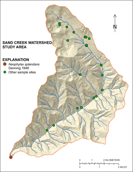 Figure showing the distribution of Neophylax splendans in the Sand Creek Basin