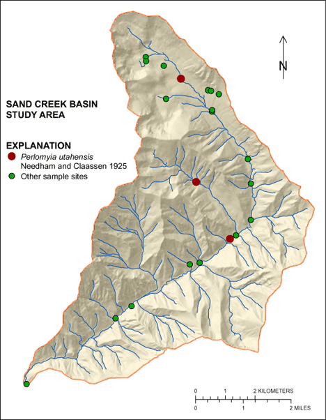 Figure showing the distribution of Perlomyia utahensis in the Sand Creek Basin