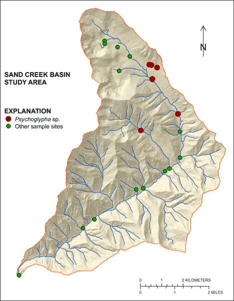 Figure showing the distribution of Psychoglypha sp. in the Sand Creek Basin
