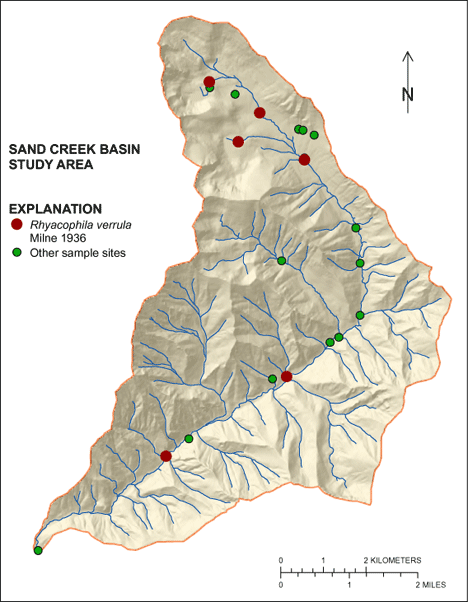 Figure showing the distribution of Rhyacophila verrula in the Sand Creek Basin