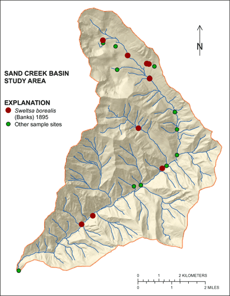Figure showing the distribution of Sweltsa borealis in the Sand Creek Basin