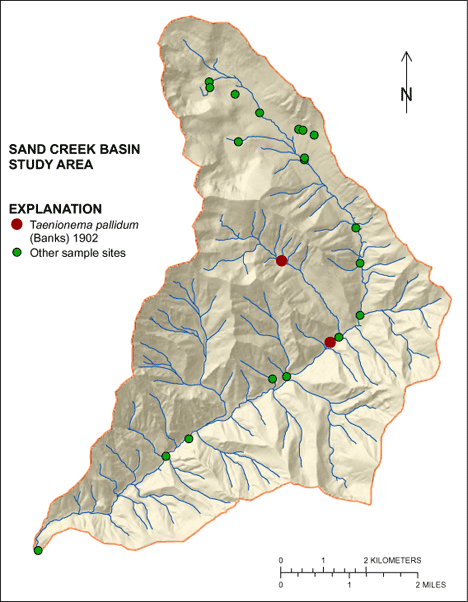 Figure showing the distribution of Taenionema pallidum in the Sand Creek Basin