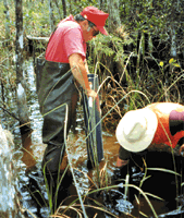 taking a core sample