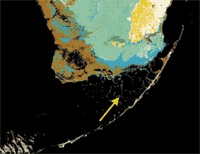Satellite image of Florida Bay and southern Florida