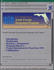 screenshot of website