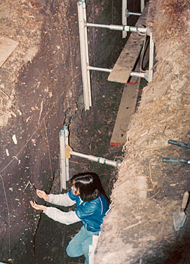 Geologist examining soil layers in a trench dug across a fault
