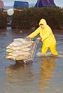 man pushing shopping cart through knee-deep water