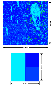 comparison of the variation in water depths on a 4 by 4 mile section provided by the SFWMM with that of the ATLSS High-Resolution Hydrology model