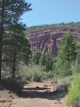 View of Red Mountain amphitheater from foot trail
