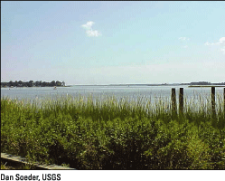 Photograph of Indian River Bay, Delaware. [Photo by Dan Soeder, USGS] (Click to view larger image)